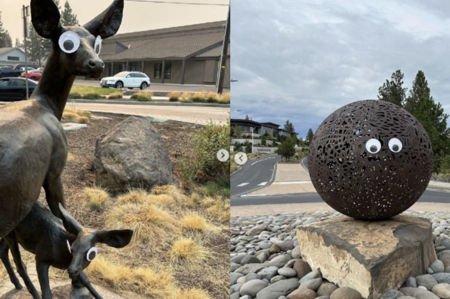 The Great Googly Eyes Mystery in Oregon